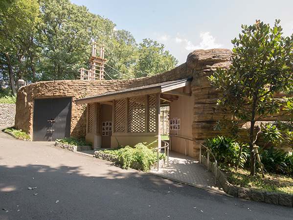 みんけん事例　東京動物園協会　多摩動物公園オラウータン舎,観覧小屋