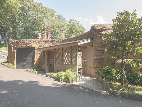 みんけん事例　東京動物園協会　多摩動物公園オラウータン舎,観覧小屋